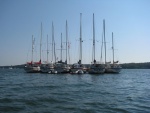  IMG 0517